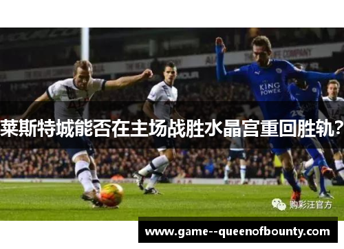 莱斯特城能否在主场战胜水晶宫重回胜轨? 莱斯特城能否在主场战胜水晶宫重回胜轨?