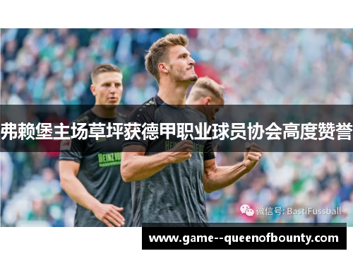 弗赖堡主场草坪获德甲职业球员协会高度赞誉