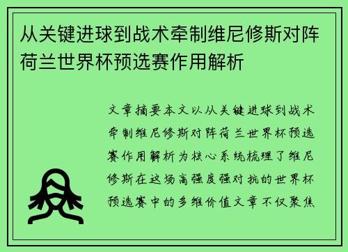 从关键进球到战术牵制维尼修斯对阵荷兰世界杯预选赛作用解析