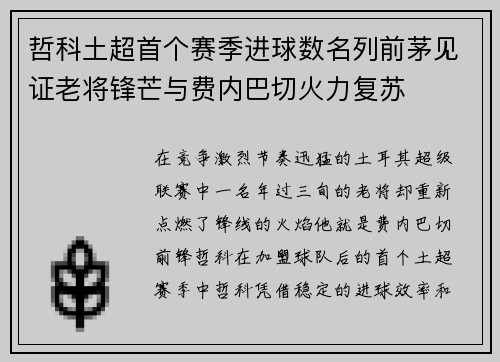 哲科土超首个赛季进球数名列前茅见证老将锋芒与费内巴切火力复苏